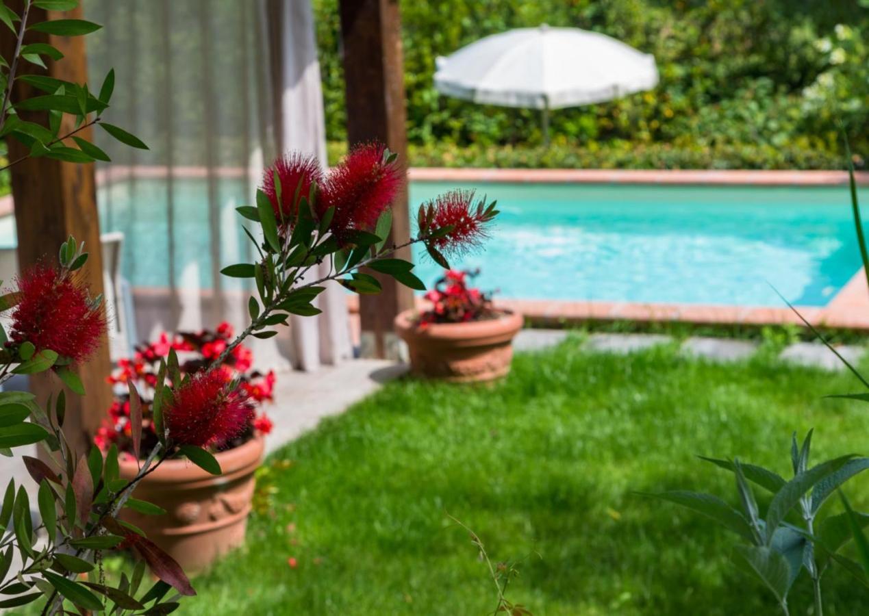 Villa Con Piscina Esclusiva Nel Verde Lucca Exteriér fotografie