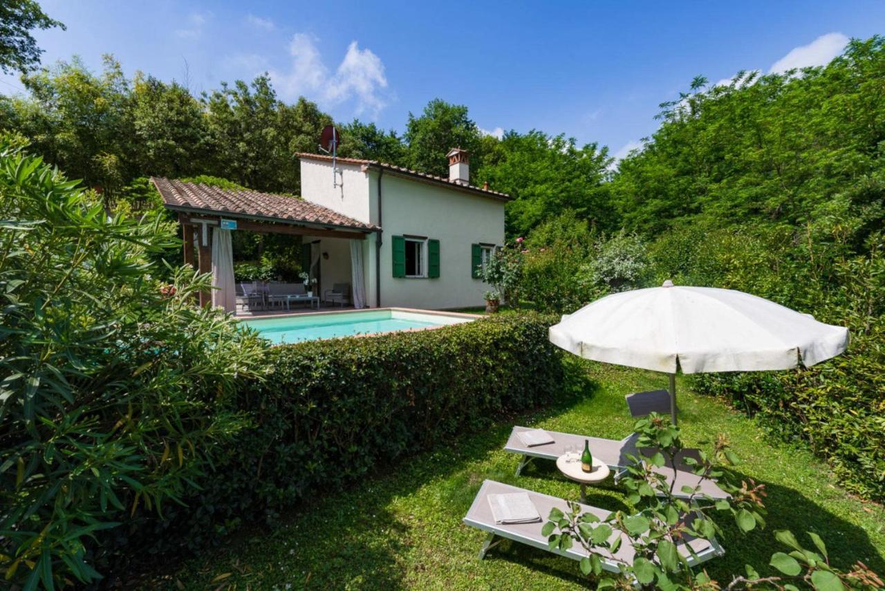 Villa Con Piscina Esclusiva Nel Verde Lucca Exteriér fotografie